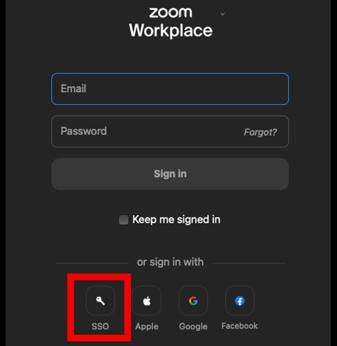 Zoom Workplace Login Screen with SSO Button Outlined Outlined